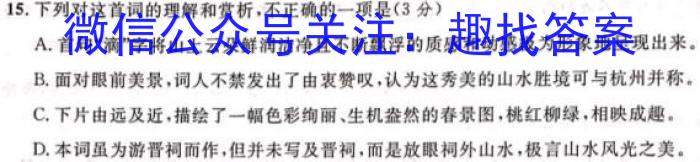 2024年贵州省普通高中学业水平选择性考试冲刺压轴卷(二)/语文