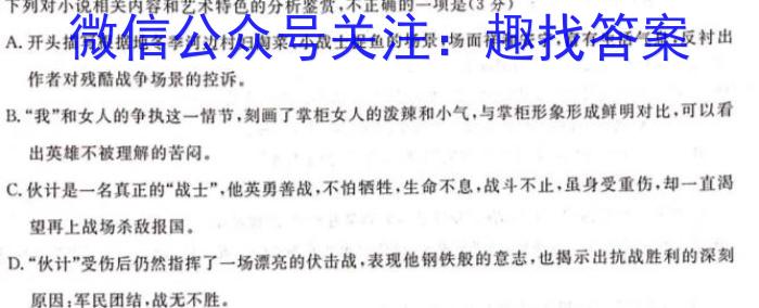 湖北省武汉市江岸区2023-2024学年度第二学期期末质量检测（高二）语文