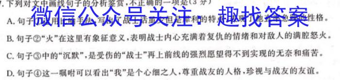 山西省晋城市2024年高三第三次模拟考试试题(24-488C)语文