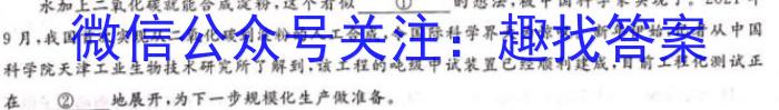 安徽省安庆市石化一中2024届初三毕业模拟考试（二模）语文