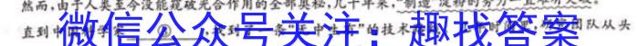 天一大联考 湖南省2024届高三12月联考语文