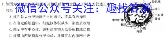 2024届辽宁省高二1月联考(24-235B)生物学试题答案