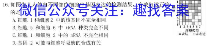 运城市2023-2024学年第一学期期末调研测试（高一）生物学试题答案