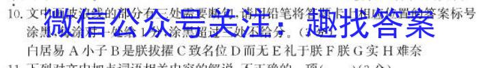 [内部资料加速高升鼎新卷]2024年安徽省初中学业水平考试模拟测试卷(A卷)语文