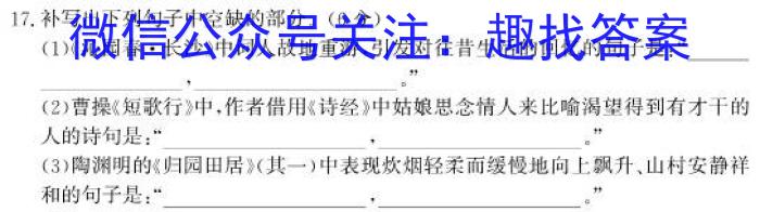 山西省汾阳市2023-2024学年度九年级第一学期期末教学质量监测(二)2/语文