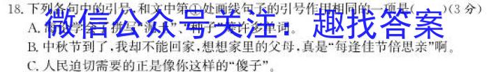 2024年普通高等学校招生全国统一考试 西宁高三复习检测(一)/语文