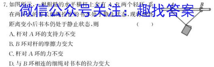 惠东县2024-2025学年第一学期高三年级第一次质量检测物理试题答案