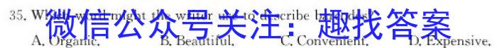 安徽省2024年1月份九年级质量检测试卷（24-CZ64c）英语试卷答案