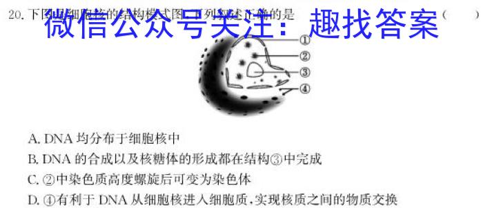 环际大联考“逐梦计划”2023-2024学年度高一年级第一学期阶段考试（三）生物学试题答案