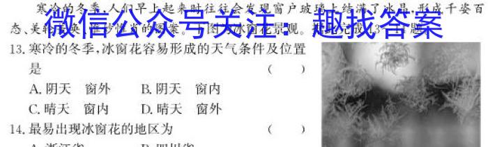 江西省乐平市2023-2024学年度下学期九年级期中学业评价地理试卷答案