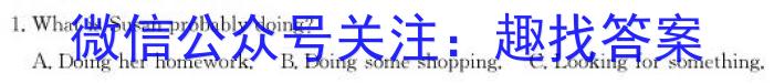 山西省2024年中考总复习专题训练 SHX(四)4英语