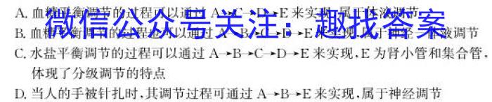 河北省2023-2024学年七年级第二学期第三次学情评估生物学试题答案