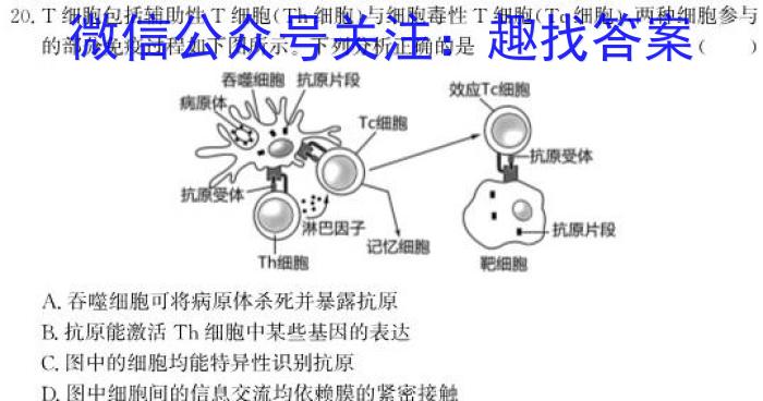 益阳市2024届高三4月教学质量检测生物学试题答案