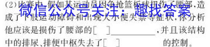 天一大联考 2023-2024学年(下)安徽高二5月份阶段性检测生物学试题答案