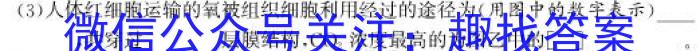 2024年普通高等学校招生全国统一考试仿真模拟金卷(五)生物学试题答案