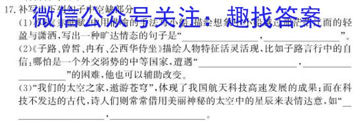 安徽省庐阳区2023-2024学年第二学期八年级期末练习语文