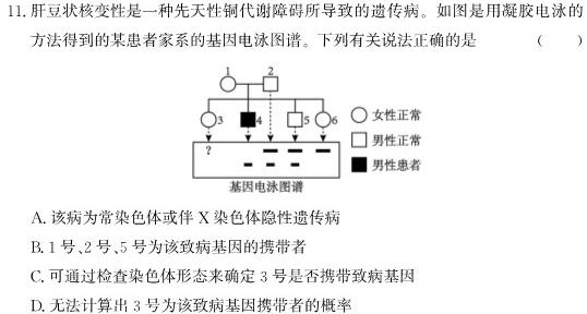 衡水金卷先享题月考卷 2023-2024下学期高二期末考试生物试题答案