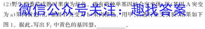 河南省2023~2024学年九年级上学期阶段性学情分析(四)期末生物学试题答案