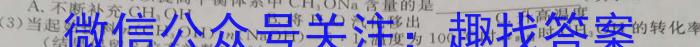 q[内江一模]内江市高中2024届第一次模拟考试题化学