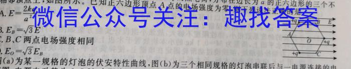 高才博学 河北省2023-2024学年度七年级第一学期素质调研四物理试卷答案