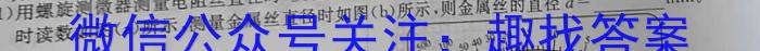 2024ʡ12(24-262C)xԾ