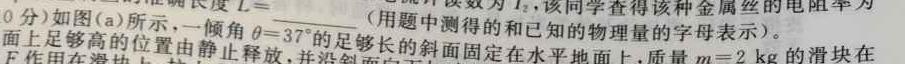 [今日更新]2024年普通高等学校招生全国统一考试适应性测试.物理试卷答案