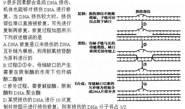 2024届贵州省新高考“大数据赋分”4月诊断性联合考生物学部分