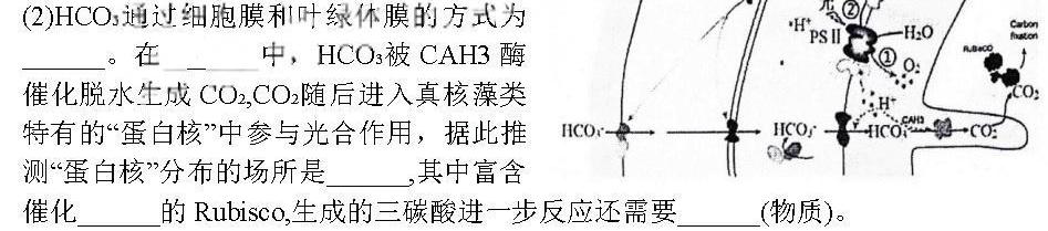 衡水金卷先享题广东省2024届高三2月份大联考生物学部分