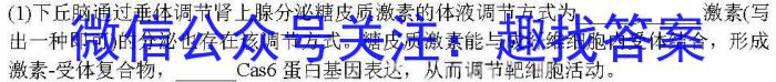 2024年河北省初中毕业生升学文化课考试（一）生物学试题答案