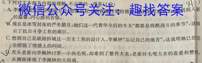 2024年陕西省九年级学业水平质量检测（☆）语文