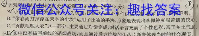 安徽省桐城市2024届九年级上学期1月期末考试/语文