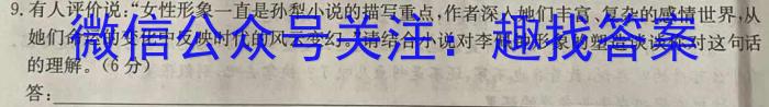 河北省石家庄市2023-2024学年度第一学期期末教学质量检测（九年级）语文