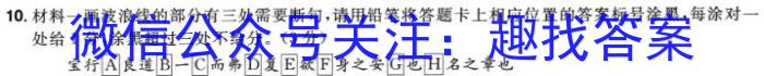 江西省2024届高三上学期2月开学考试/语文