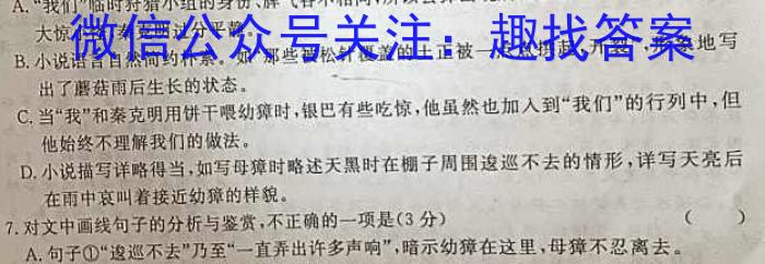 安徽省2023-2024学年同步达标自主练习·九年级第三次语文