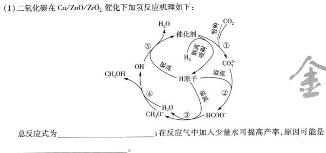 【热荐】云南师大附中2023-2024年2022级高二年级教学测评月考卷(三)3化学