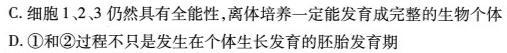 [青岛三模]山东省2024年高三年级第三次适应性检测(2024.05)生物学部分