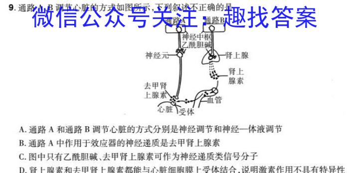 [绥化三模]黑龙江绥化市2024届高三5月联考模拟检测卷生物学试题答案