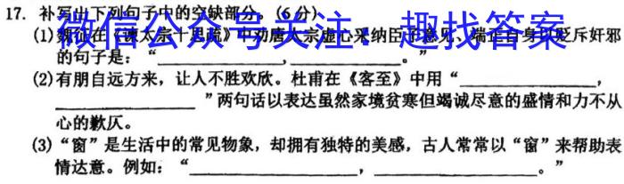 河南省2023-2024学年高二下学期第一次月考(378B)/语文