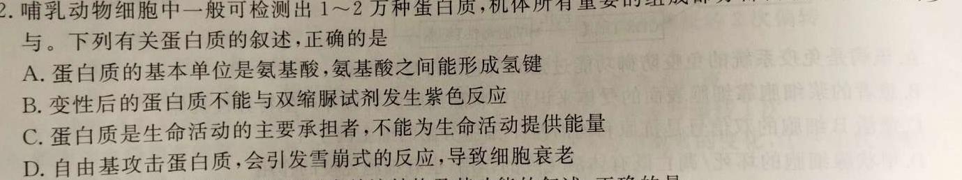 2024年河池市普通高中毕业班适应性模拟测试（5月）生物