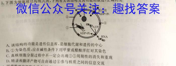 安徽省2023-2024期末八年级质量检测卷(2024.1)生物学试题答案