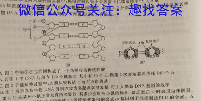 2024届安徽省高三第二次五校联考(颍上/蒙城/淮南/怀远/涡阳)生物学试题答案