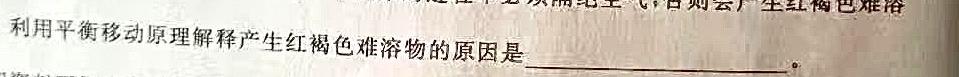 1安徽省2023-2024学年江南十校高一分科诊断摸底联考化学试卷答案