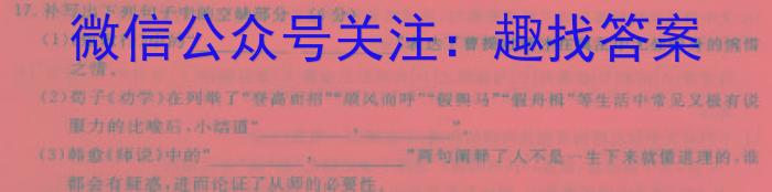 2024普通高等学校招生全国统一考试冲刺金卷(一)语文