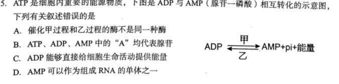 山东省高二2024年临沂市2022级普通高中学科素养水平监测试卷生物学部分