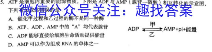 安徽省2024年九年级教学检测(CZ118c)生物学试题答案