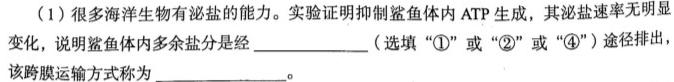 山西省2024年中考考前模拟试题(卷)生物