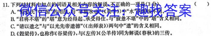 2024年陕西省初中学业水平考试模拟试卷(W1)语文