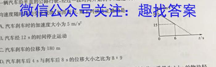  [华大新高考联盟]2024年高三名校高考预测卷（安徽卷）物理`