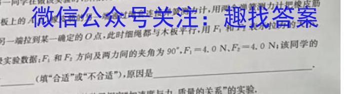 青桐鸣联考·2025届普通高等学校招生全国统一考试期中考试试卷物理试题答案