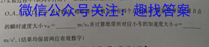 甘肃省西和一中2024-2025学年高一第一学期月测考试试卷物理试卷答案